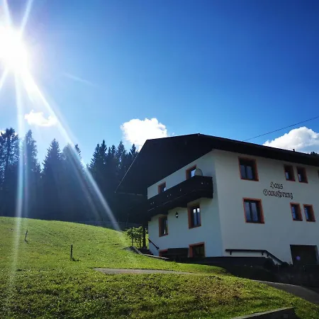 Haus Gamssprung * Steinberg am Rofan