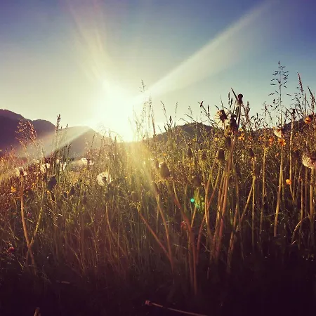 Apartamento Haus Gamssprung *