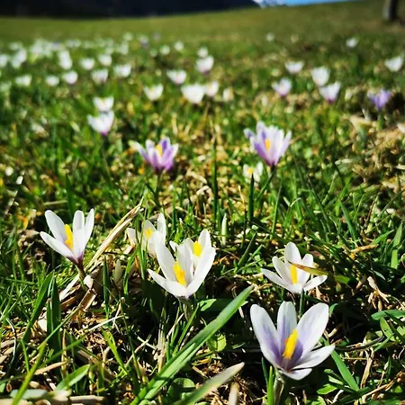 Haus Gamssprung * Steinberg am Rofan