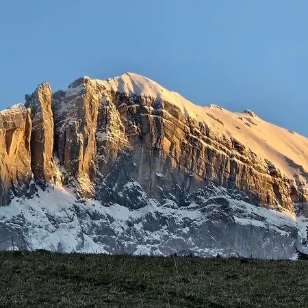 Haus Gamssprung Daire