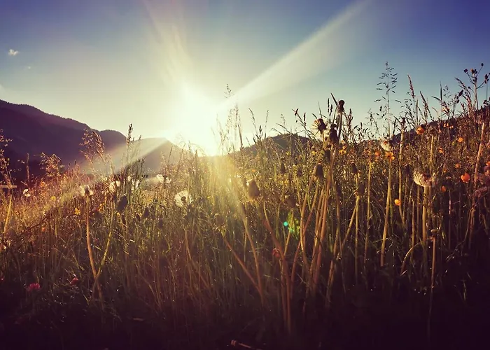 Apartmán Haus Gamssprung *