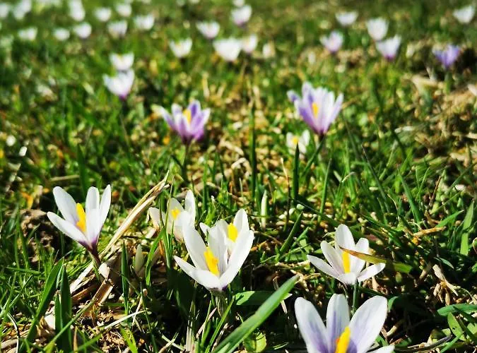 Haus Gamssprung * Steinberg am Rofan