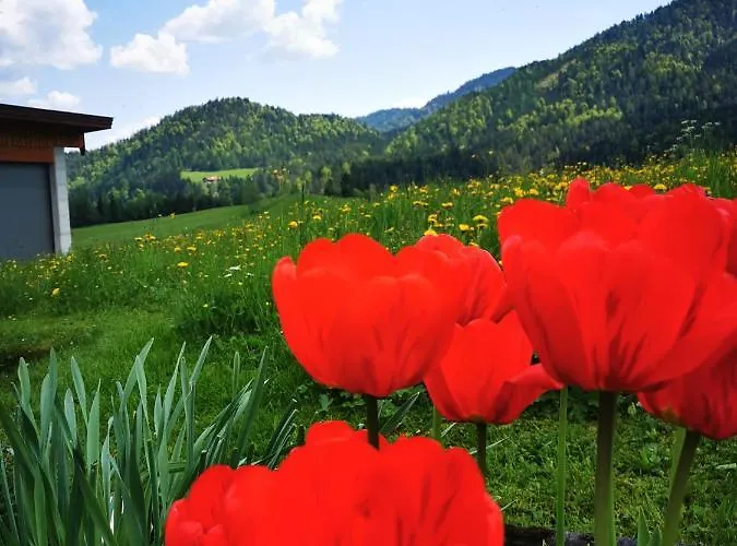 Apartmán Haus Gamssprung *