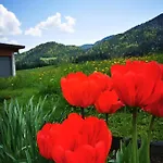 Apartament Haus Gamssprung *