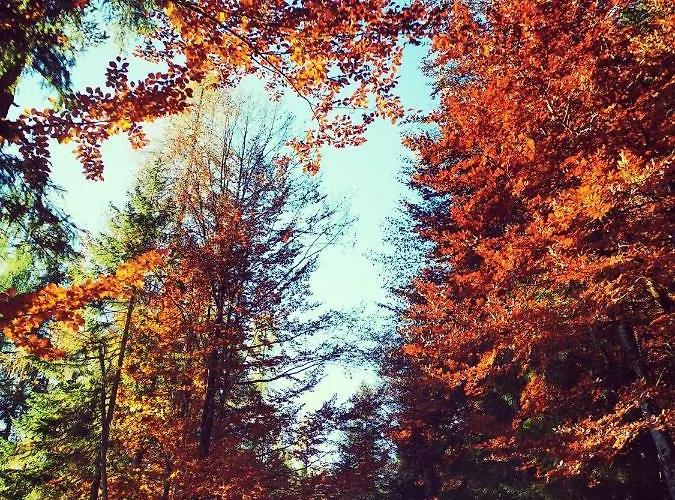 Haus Gamssprung Steinberg am Rofan