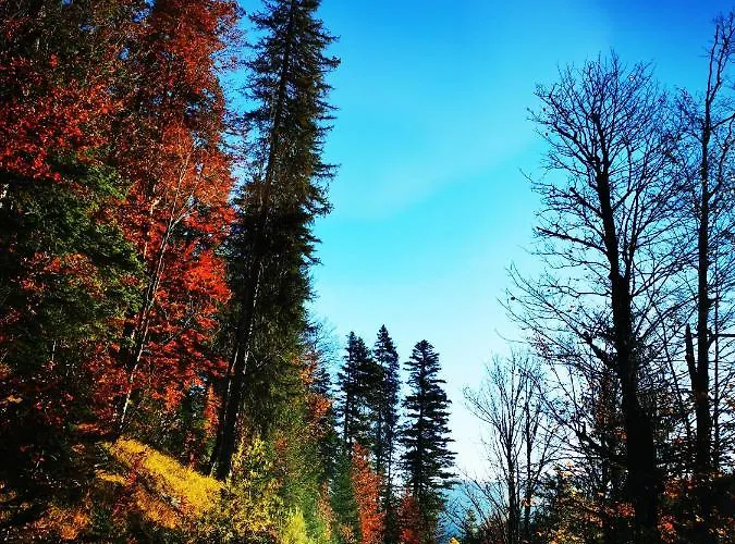 Appartement Haus Gamssprung Steinberg am Rofan