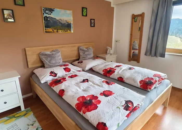 Haus Gamssprung Appartement Steinberg am Rofan